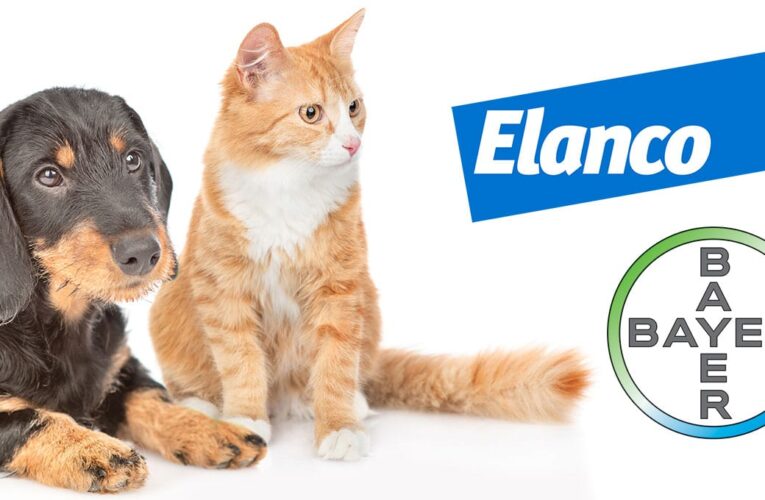 La historia de Elanco, la marca de la salud animal