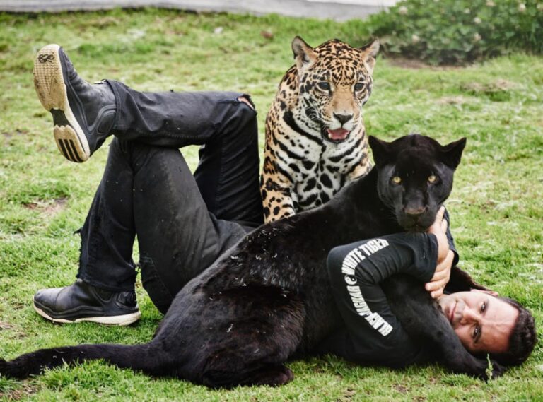 eduardo-serio-maltratoanimal