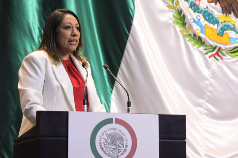 GABRIELA DELGADO_AFM_CAMARA_DIPUTADOS