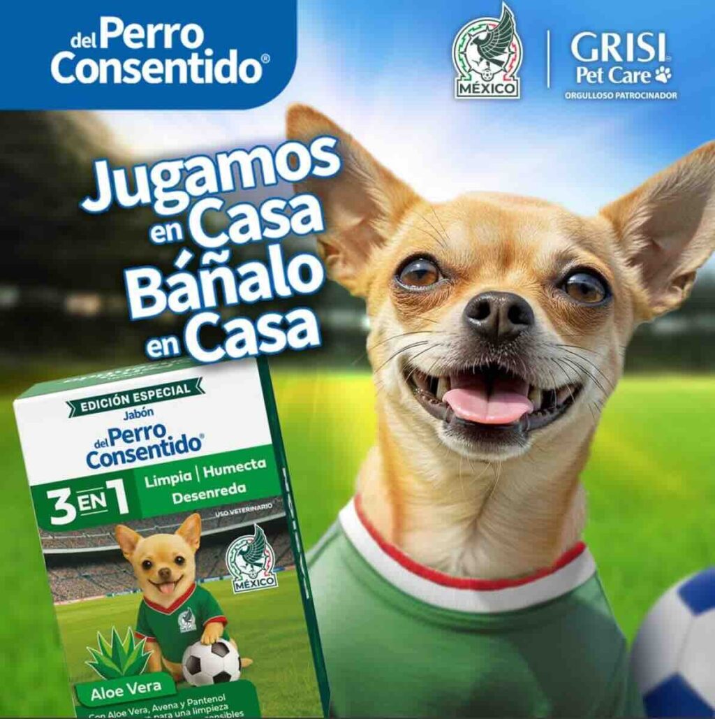 Grisi Mascotas